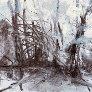 Creating a Mixed Media Landscape